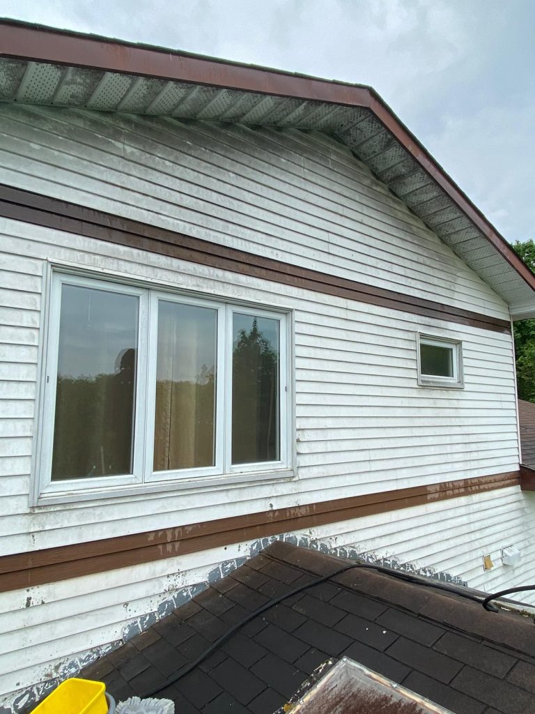 Dirty Siding before cleaning in Ottawa